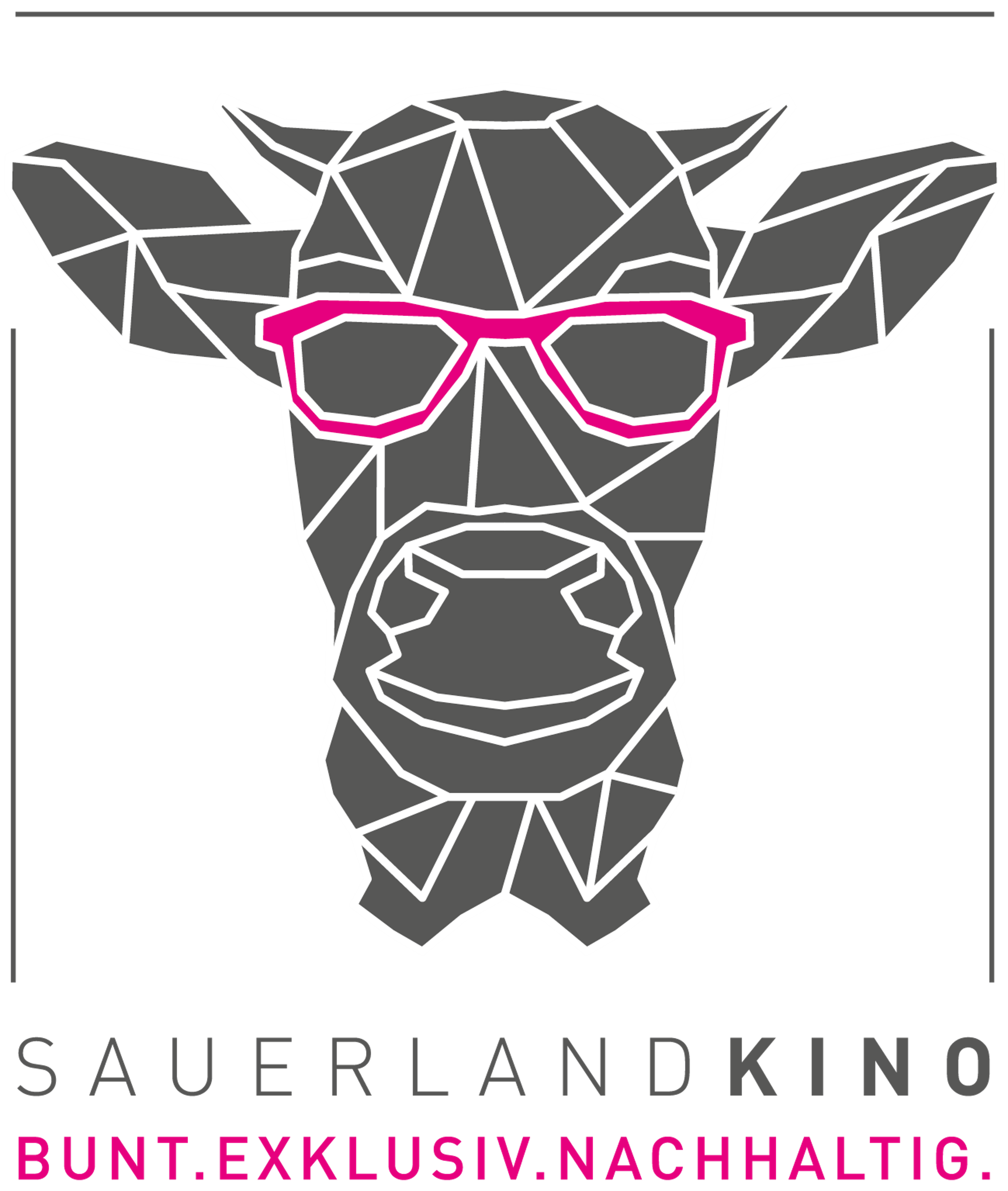 Logo Sauerlandkino